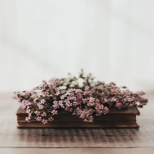 Fleur rose